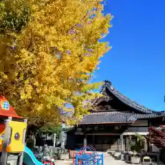 誓願寺(愛知県)