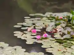 明治神宮(東京都)