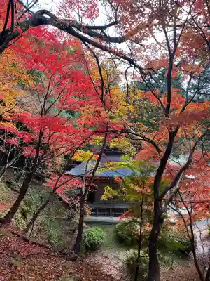 石道寺の{uncategorized: "未分類", other: "その他", undefined: "問題あり", building: "その他建物", grave: "お墓", sacred_gate: "鳥居", guardian: "狛犬", statue: "像", buddha: "仏像", history: "歴史", nature: "自然", garden: "庭園", animal: "動物", pagoda: "塔", temizu: "手水舎", mountain_gate: "山門・神門", sanctuary: "本殿・本堂", subordinate: "末社・摂社", art: "芸術", scenery: "景色", jizo: "地蔵", ema: "絵馬", goshuin: "御朱印", omikuji: "おみくじ", items: "授与品その他", amulet: "お守り", goshuincho: "御朱印帳", eats: "食事", festival: "お祭り", votive_dance: "神楽", shichigosan: "七五三参", wedding: "結婚式", experience: "体験その他", initially: "初詣", around: "周辺", anti_infection: "感染症対策"}