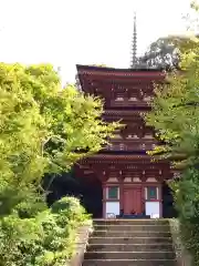 浄瑠璃寺(京都府)