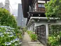 浄勝寺(千葉県)