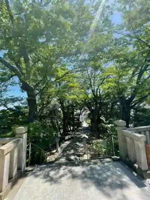 白旗神社の{uncategorized: "未分類", other: "その他", undefined: "問題あり", building: "その他建物", grave: "お墓", sacred_gate: "鳥居", guardian: "狛犬", statue: "像", buddha: "仏像", history: "歴史", nature: "自然", garden: "庭園", animal: "動物", pagoda: "塔", temizu: "手水舎", mountain_gate: "山門・神門", sanctuary: "本殿・本堂", subordinate: "末社・摂社", art: "芸術", scenery: "景色", jizo: "地蔵", ema: "絵馬", goshuin: "御朱印", omikuji: "おみくじ", items: "授与品その他", amulet: "お守り", goshuincho: "御朱印帳", eats: "食事", festival: "お祭り", votive_dance: "神楽", shichigosan: "七五三参", wedding: "結婚式", experience: "体験その他", initially: "初詣", around: "周辺", anti_infection: "感染症対策"}