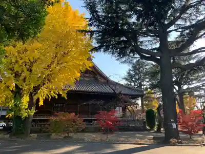 寛永寺(根本中堂)(東京都)