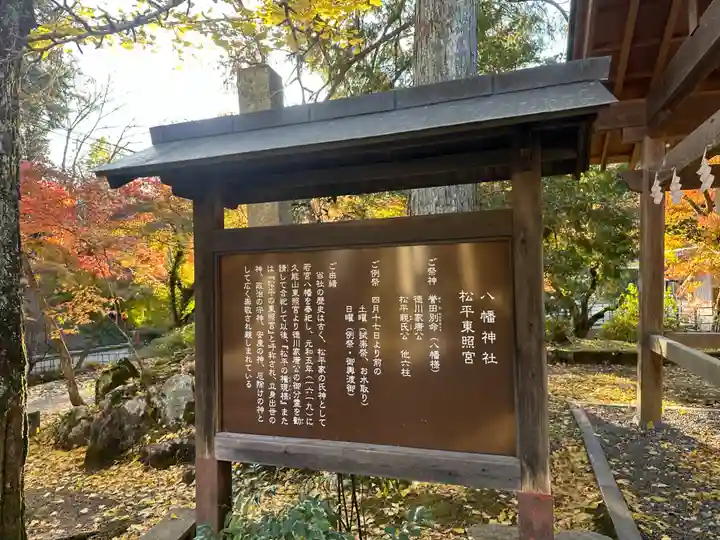 八幡神社松平東照宮(愛知県)