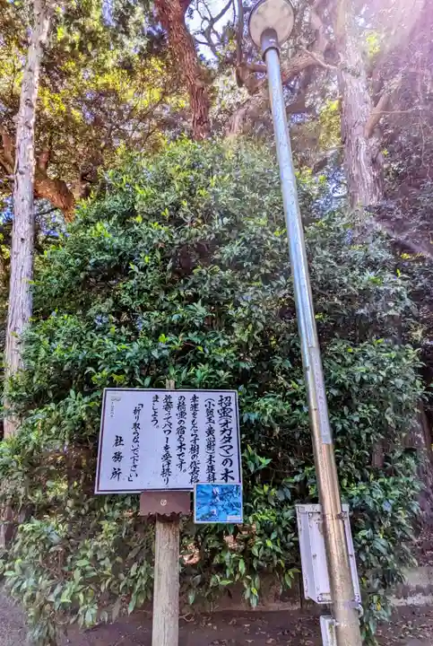 息栖神社(茨城県)