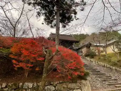 毘沙門堂門跡(京都府)