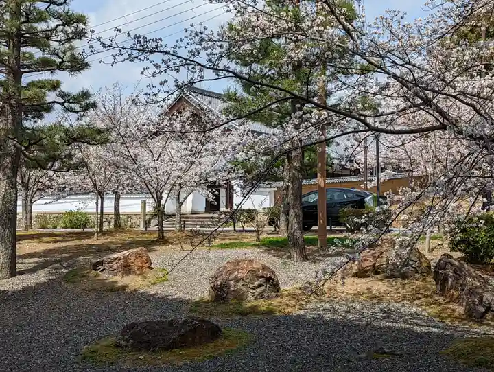 くろ谷 金戒光明寺(京都府)