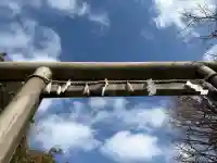 浅草神社の{uncategorized: "未分類", other: "その他", undefined: "問題あり", building: "その他建物", grave: "お墓", sacred_gate: "鳥居", guardian: "狛犬", statue: "像", buddha: "仏像", history: "歴史", nature: "自然", garden: "庭園", animal: "動物", pagoda: "塔", temizu: "手水舎", mountain_gate: "山門・神門", sanctuary: "本殿・本堂", subordinate: "末社・摂社", art: "芸術", scenery: "景色", jizo: "地蔵", ema: "絵馬", goshuin: "御朱印", omikuji: "おみくじ", items: "授与品その他", amulet: "お守り", goshuincho: "御朱印帳", eats: "食事", festival: "お祭り", votive_dance: "神楽", shichigosan: "七五三参", wedding: "結婚式", experience: "体験その他", initially: "初詣", around: "周辺", anti_infection: "感染症対策"}