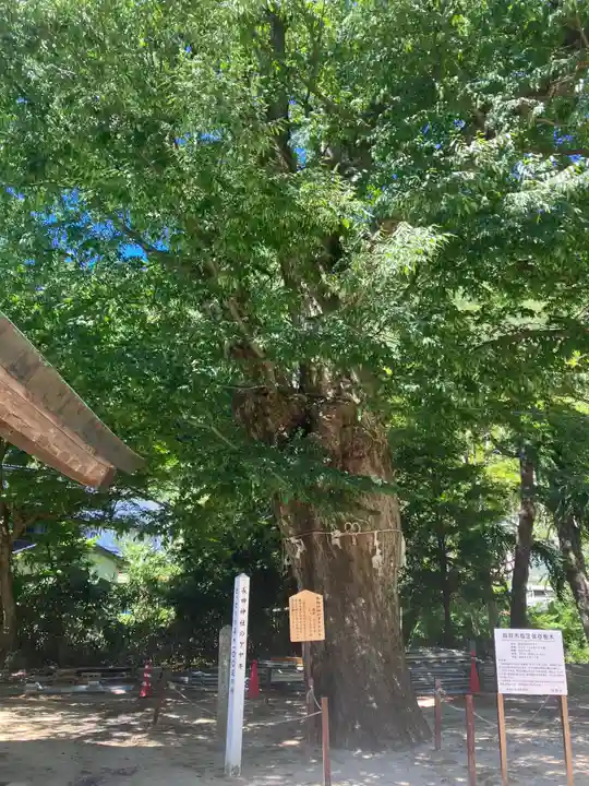 長田神社(鳥取県)