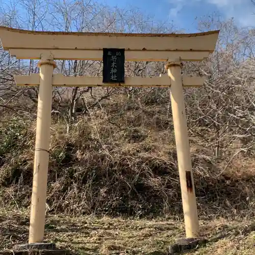 若木神社の鳥居