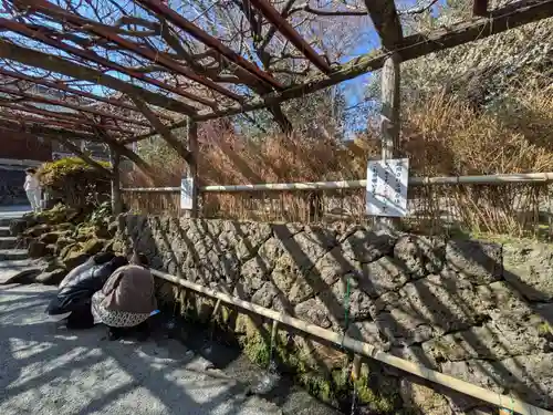 富士山本宮浅間大社(静岡県)