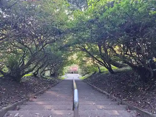 宝登山神社奥宮(埼玉県)