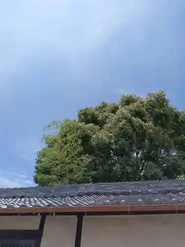 岡山戎神社のその他建物