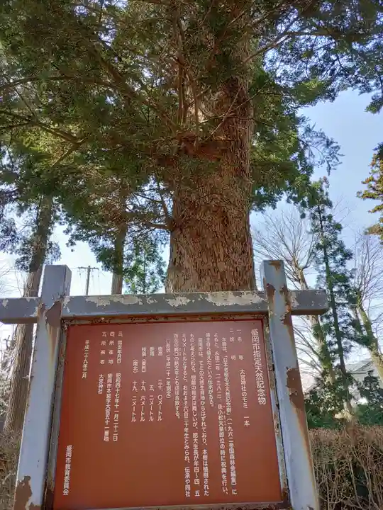 大宮神社(岩手県)