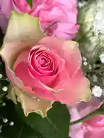 上尾御嶽神社の手水舎