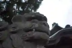 天神社の狛犬