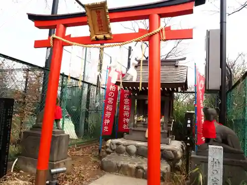 柏の宮稲荷神社の鳥居