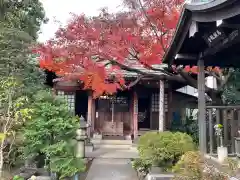 常性寺の自然