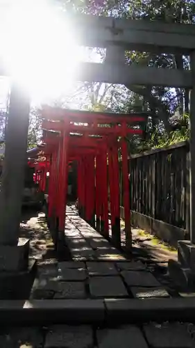 根津神社の鳥居