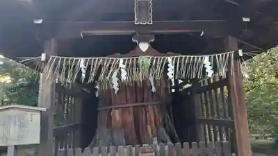 敷地神社（わら天神宮）(京都府)