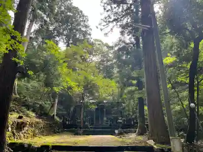 養父神社(兵庫県)