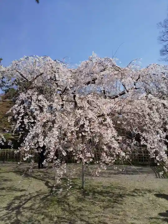 水火天満宮(京都府)