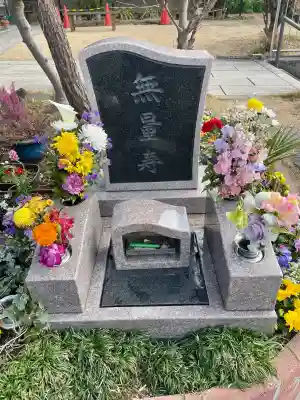 真英寺の{uncategorized: "未分類", other: "その他", undefined: "問題あり", building: "その他建物", grave: "お墓", sacred_gate: "鳥居", guardian: "狛犬", statue: "像", buddha: "仏像", history: "歴史", nature: "自然", garden: "庭園", animal: "動物", pagoda: "塔", temizu: "手水舎", mountain_gate: "山門・神門", sanctuary: "本殿・本堂", subordinate: "末社・摂社", art: "芸術", scenery: "景色", jizo: "地蔵", ema: "絵馬", goshuin: "御朱印", omikuji: "おみくじ", items: "授与品その他", amulet: "お守り", goshuincho: "御朱印帳", eats: "食事", festival: "お祭り", votive_dance: "神楽", shichigosan: "七五三参", wedding: "結婚式", experience: "体験その他", initially: "初詣", around: "周辺", anti_infection: "感染症対策"}