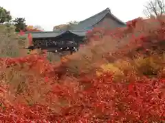 東福禅寺（東福寺）の建物その他