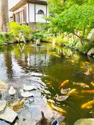 楽法寺(雨引観音)(茨城県)