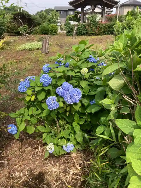 天徳寺(神奈川県)
