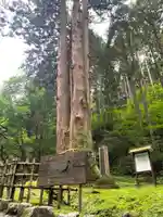御岩神社の自然