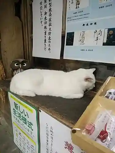伊佐須美神社の動物