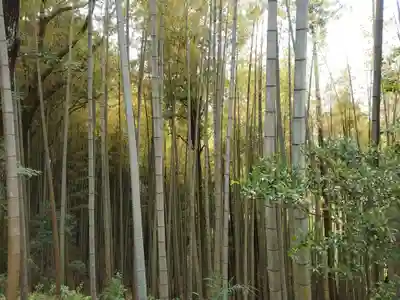 常陸国出雲大社(茨城県)