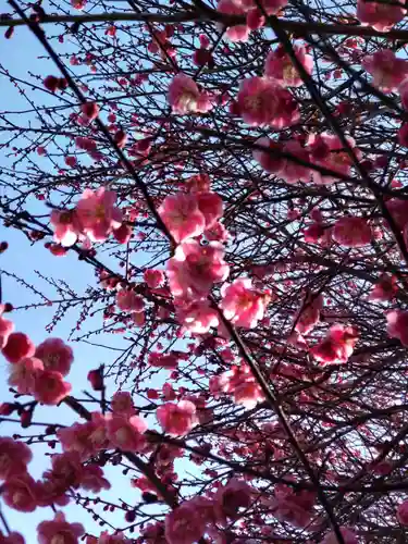 圓通寺（円通寺）の庭園