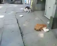 戸越八幡神社の動物