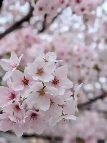 東光寺(東京都)