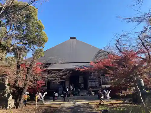 淨眞寺(東京都)