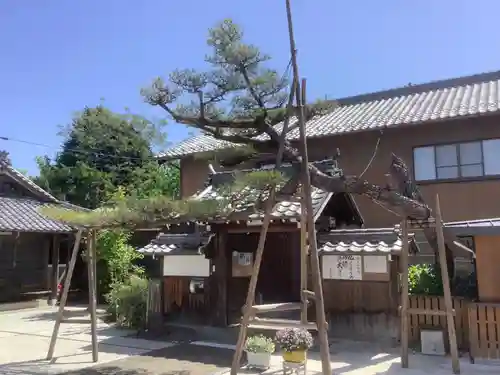 妙海寺の山門・神門