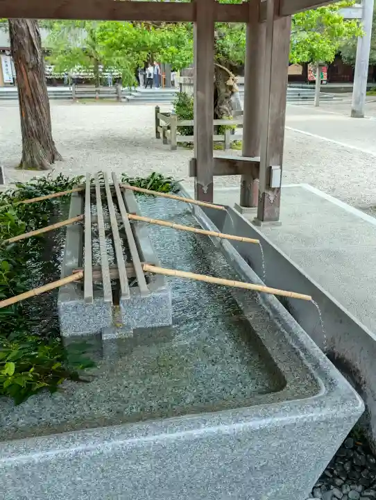 射水神社の{uncategorized: "未分類", other: "その他", undefined: "問題あり", building: "その他建物", grave: "お墓", sacred_gate: "鳥居", guardian: "狛犬", statue: "像", buddha: "仏像", history: "歴史", nature: "自然", garden: "庭園", animal: "動物", pagoda: "塔", temizu: "手水舎", mountain_gate: "山門・神門", sanctuary: "本殿・本堂", subordinate: "末社・摂社", art: "芸術", scenery: "景色", jizo: "地蔵", ema: "絵馬", goshuin: "御朱印", omikuji: "おみくじ", items: "授与品その他", amulet: "お守り", goshuincho: "御朱印帳", eats: "食事", festival: "お祭り", votive_dance: "神楽", shichigosan: "七五三参", wedding: "結婚式", experience: "体験その他", initially: "初詣", around: "周辺", anti_infection: "感染症対策"}