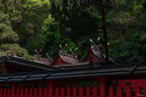 枚岡神社の本殿