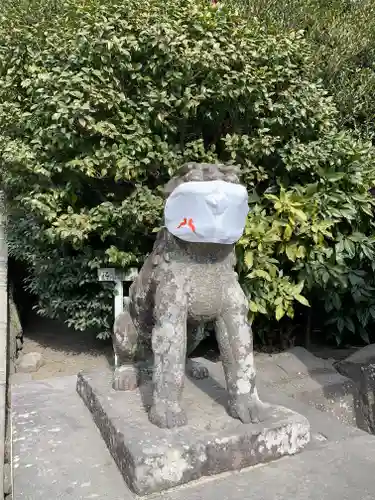 鶴岡八幡宮(神奈川県)