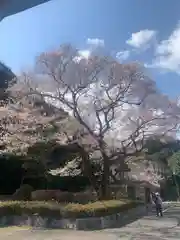 岐阜護國神社(岐阜県)