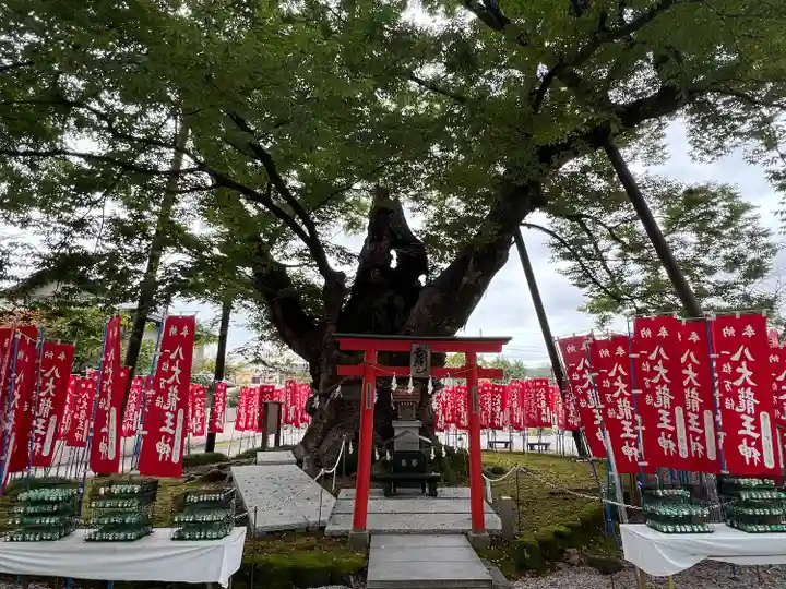 秩父今宮神社(埼玉県)