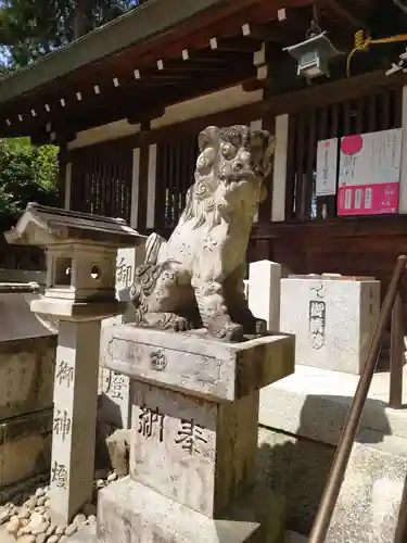 挙母神社の狛犬