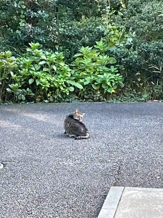 白金氷川神社(東京都)