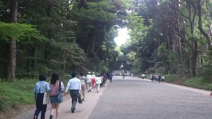 明治神宮(東京都)