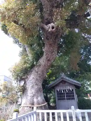 大社神社(愛知県)