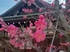 大阪天満宮の自然
