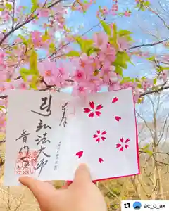 普門寺(切り絵御朱印発祥の寺)(愛知県)(2022年03月13日(日) 21時37分59秒投稿)