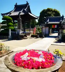 真言宗 善通寺派 薬王寺(香川県)(2022年09月04日(日) 10時47分16秒投稿)